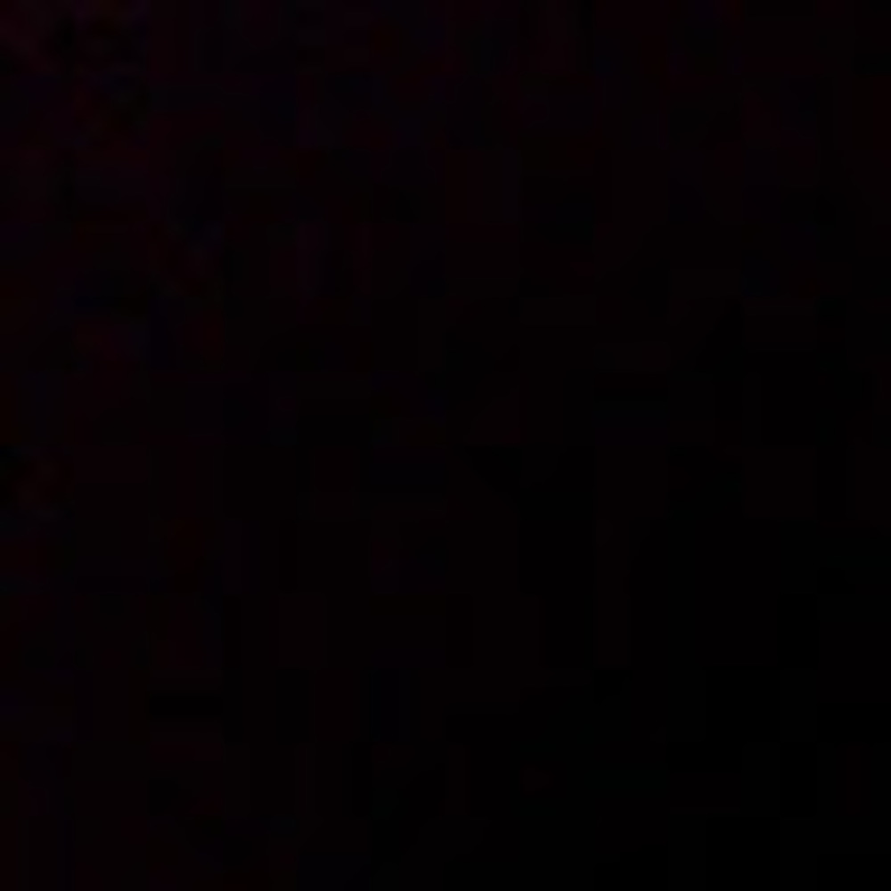 Meet your Posher, Trixy